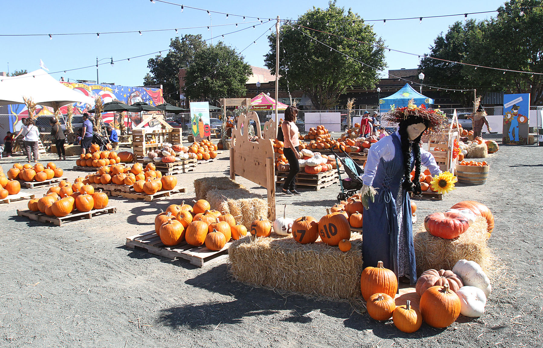 Downtown Pumpkin Patch
